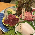 熊本馬刺 安坐 - 