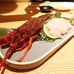 個室居酒屋 いろり - 伊勢海老のお造り