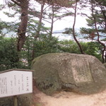 プティアノン - 金田一京介