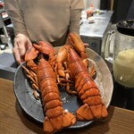 今宵も濃い夜 あきのカウンター - 