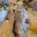 オーシャン ハーベスト ココモ - 