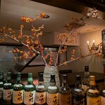 バー ブラウン - 