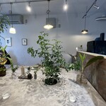 café sai - 