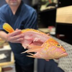 魚馬る ふぶき鮨 - 