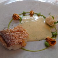 ドミニク・ブシェ トーキョー - 