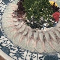 魚料理専門 魚魚一 - 