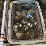 市場食堂 味処たけだ   - 