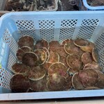 市場食堂 味処たけだ   - 