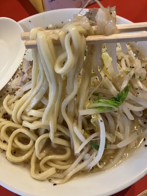 Ramen Kotsukotsu Tei photo 3