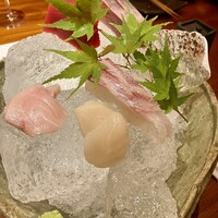 銀平 北新地店 - 五種のお造り