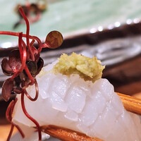 紀州　あおり烏賊