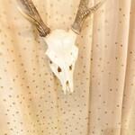 RISTORANTE Co.N.Te - 