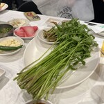 プルトゥンヌンテジ - 