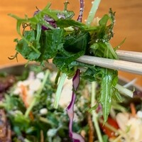 やさいの王様 用賀店 - 6時間低温調理のホロホロやわらか骨つきチキンプレートのサラダ