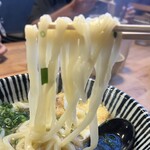 麺房てうち庵 - 平たくツルツルした麺