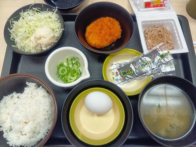 Matsu no Ya Daido Toyosato Ten