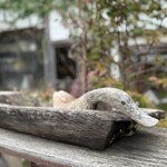 農家カフェ ラク - 