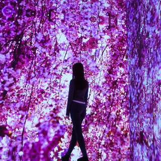 蜷川実花withEiM特別展示