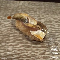 江戸心 山ぼうし - こはだ