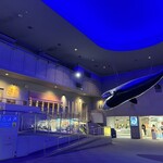 御食事処　花さんご - 