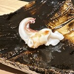 片岡篤司 - ゲソ