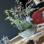 クラブ ハリエ - 