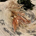 なか條 - ボタンエビ