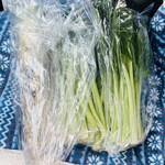 NAMEGATA Komeko Baumkuchen - いただいた新鮮野菜♫