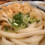 ツルコウドン - 