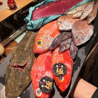 シェフ自ら市場に出向き、直接目利きして仕入れる最高の魚介