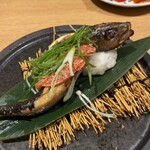 炉端ともつ煮 炎 - 