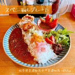 美濃加茂 ぼちち - スペシャルプレート（スパイシーチキンカレー・ベジタブルカレー・鶏の唐揚げ・ガーリックシュリンプ）