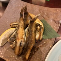 土佐料理 祢保希 丸の内店 - 