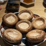 関本恭平 - しいたけ