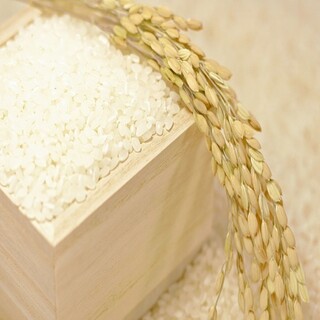 地産地消！愛知県産にこだわる