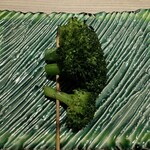 焼鳥 町子 - ブロッコリー