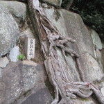 プティアノン - 