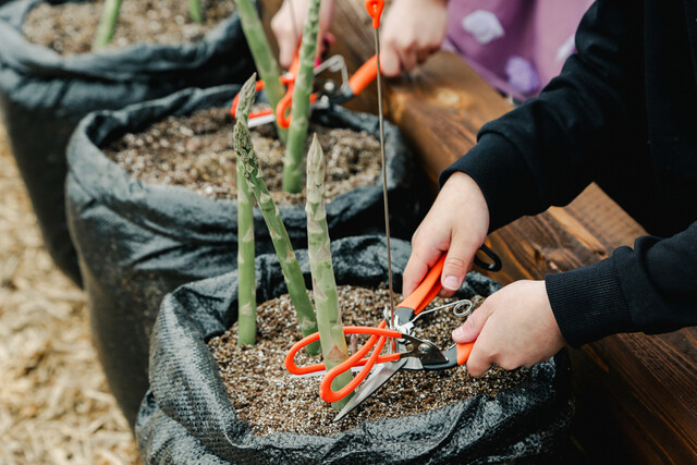 FARM TO GRILL 渋民 &ndash; 本格バーベキューと絶品グリル料理 | 盛岡