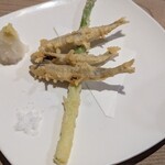 山文魚 - きびなご