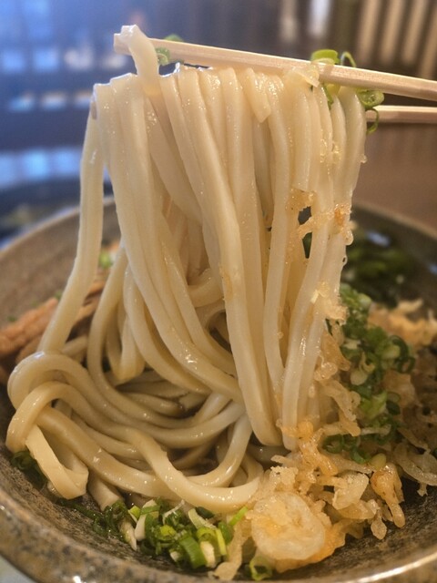 Sosaku Udon Hoshino photo 4