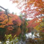 ラウンド アバウト カフェ - 