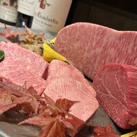 USHIGORO S. SHINJUKU - 