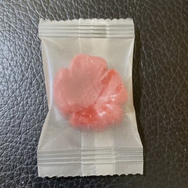 六花亭 昭和タウン店 - 五稜郭（和菓子）の写真