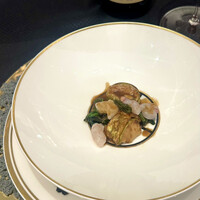 クイントカント - 