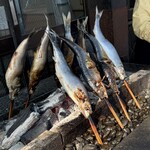 民宿 青塚食堂 - ニシンですよ！デカいでしょ(^_^)