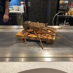 神戸ハンター坂 肉料理 鉄板 祷り - 