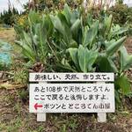 ところてん小屋 青木 - 案内板１