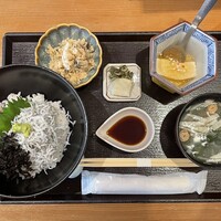 お料理 とみやま - 2025.11.07 (金)    ねぎとろ・釜揚げしらすの２色丼御膳　1680円（税込）