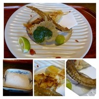 天ぷら 松 - キスの天ぷら・・衣に栗が混ぜられていますので風味がいいですね。
                  骨もじっくり揚げてあり美味しい。