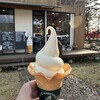 喫茶 蓼科アイス